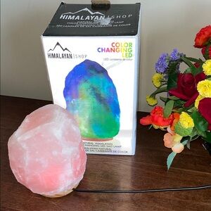 Color-Changing LED Salt Lamp Lowest Price